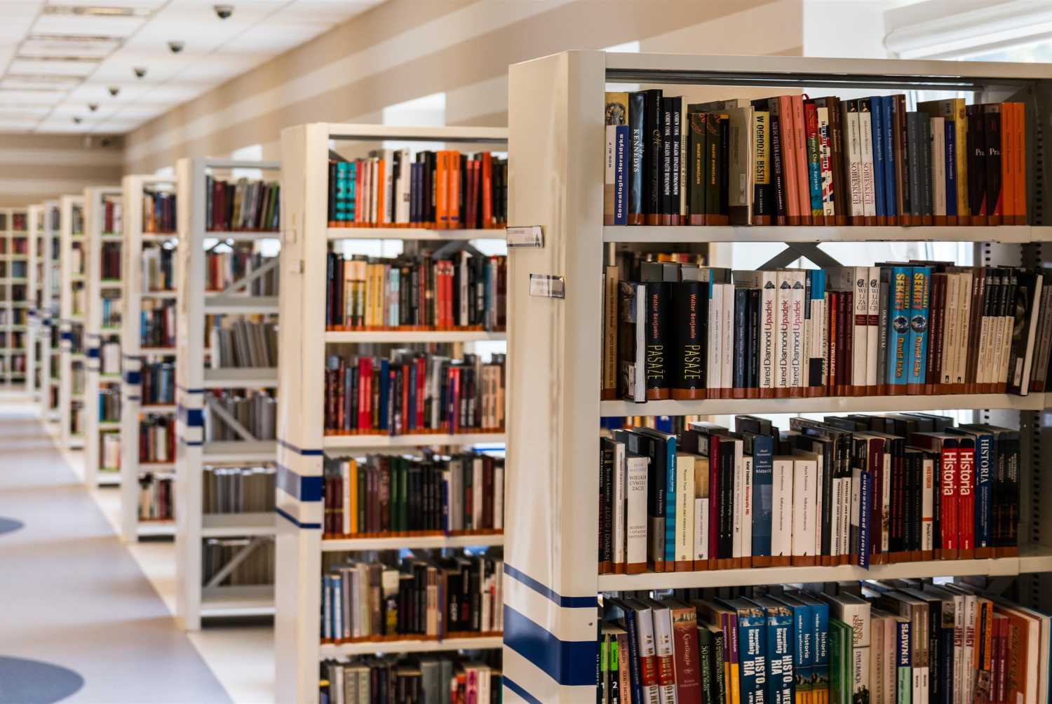 biblioteca universidad de León